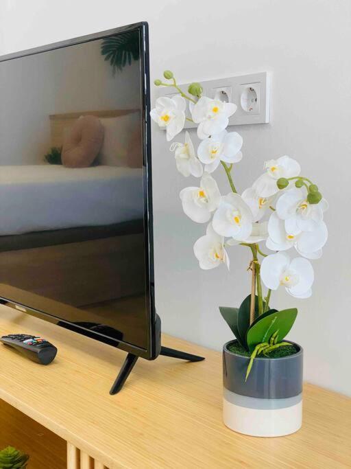 ולנסיה Nice & Cozy Flat Close The Beach מראה חיצוני תמונה